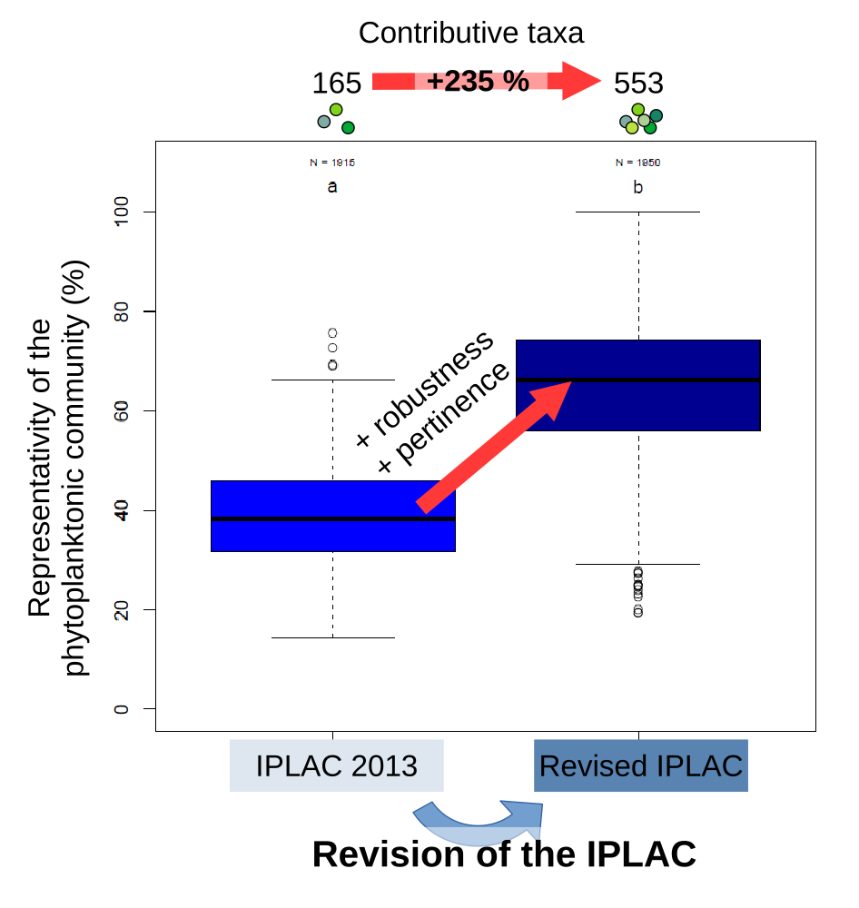 RevIPLAC_graphical abstract_20260113_en-14_30_39.png
